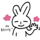 메이딘네일 이미지