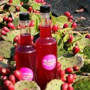 김윤식농장 이미지