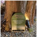 소원별장 이미지