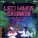 LED비바츠 태권발레 이미지