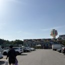 꽃시장식물원 조경 | 초보식집사의 양재꽃시장 탐방 후기/ 화분이쁜곳 공유