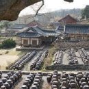 윤증묘소 이미지