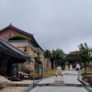 자)구례세진관광여행사자 | [구례/하동] 2. 화엄사 / 섬진강 대나무 숲길 / 산수유맥주 / 봉성식당 - 구례 관광 필수 코스!