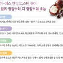하이리빙&푸드