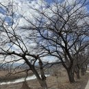 공주민박 이미지