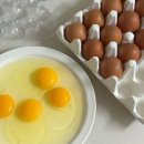 농업회사법인(주)햇빛농산 | 유정란 1번 양계장청년 난각번호1번 20구 1만원대라니!HACCP인증도 당연