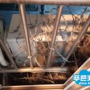 제일까치샘아파트 이미지