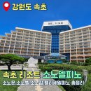 속초소노델피노 숙박후기(소노문,소노벨,소노캄,소노펠리체델피노 차이)