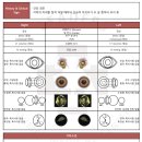 7살 강아지 건강검진 후기 (병원 비교 및 선택, 항목, 비용) - 24시 분당 리더스 동물병원