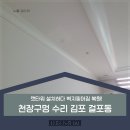이음캣 | 천장구멍 수리 김포 걸포동 캣타워 설치하다 벽지찢어짐 복원!