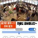 리프패럿 이미지