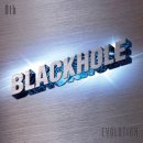 [음악취향Y] 블랙홀 #2 : 아홉번째 정규앨범 『Evolution』 이미지