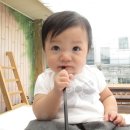 박은서 Daum카페