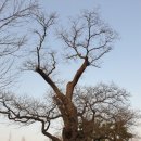 회화어린이공원 이미지