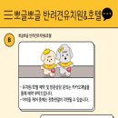 뽀글뽀글 반려견 유치원&호텔 이미지