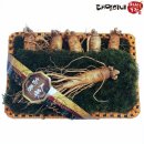 대명 농장 이미지