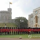 김계환농장 이미지