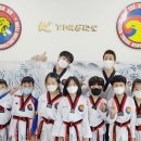 용인대범호태권도장 이미지