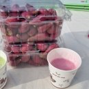 김윤식농장 이미지