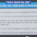 솔마지기메밀막국수