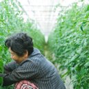 진주우리먹거리협동조합진주텃밭 이미지