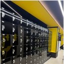 웰니스 지 이미지