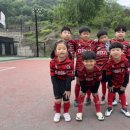 보람에프씨(FC) 이미지