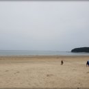 장삼포민박 이미지