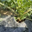 율암농장 이미지