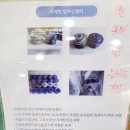 타이어매니아&카서비스 | 대구 타이어 성지 카매니아. 여성도 좋아하는 타이어 맛집