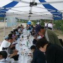 금성중학교 Daum카페