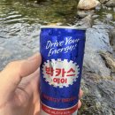용문산리조트펜션 | 용문산리조트펜션 후기 - 단체 워크샵 후기