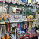 한스애견 이미지