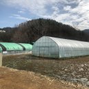 명계농장 이미지