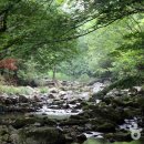 향-녹음의 계절 이미지