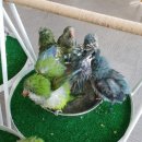 그린대중목욕탕 이미지