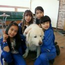 (주) 펫플라자 이미지