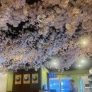 5193 | 구로디지털단지역 이자카야 ‘춘’, 청첩장 모임으로 다녀온 후기(분위기 좋아 데이트추천)