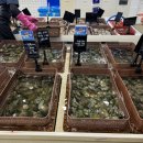 장승포스크린골프 이미지