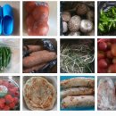 5일장날🍓🍅🥕🥙🩴 이미지