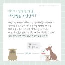 마리동물의료센터 이미지