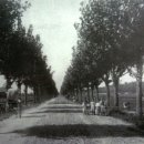 이출농장 이미지