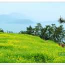 하화도 꽃섬길 이미지