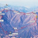 여주-0447 Daum카페