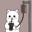 플루토커피