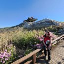 덕만주차장화장실 | 봄 산행 명소 9,분홍빛 바다 위로 떠오른 태양, 황매산 철쭉 일출 산행의 기록