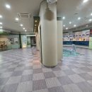 장흥 산벚나무길 | [전라남도 장흥군] 장흥다목적댐 물 문화관