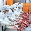 순동농장 이미지