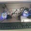 오광장대게 이미지