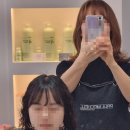 노스헤어 이미지